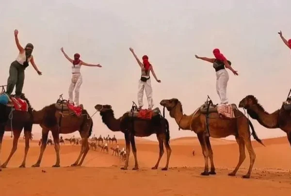 Camel Ride in the Casablanca desert tour