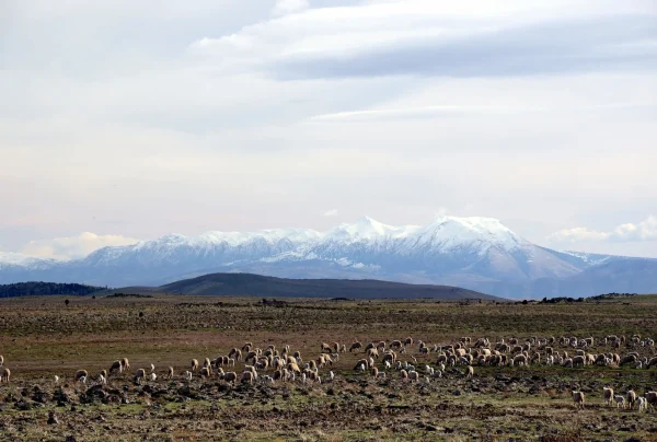 Middle Atlas Mountaine in from Casablanca
