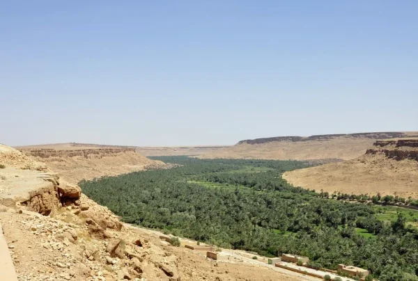 Oasis of Ziz Valley in the Casablanca to Marrakech tour