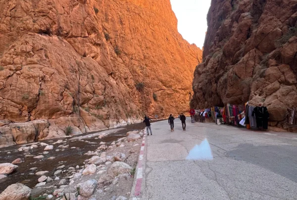 Todra gorges in the fes to marrakech tour Todra gorges in the fes to marrakech tour